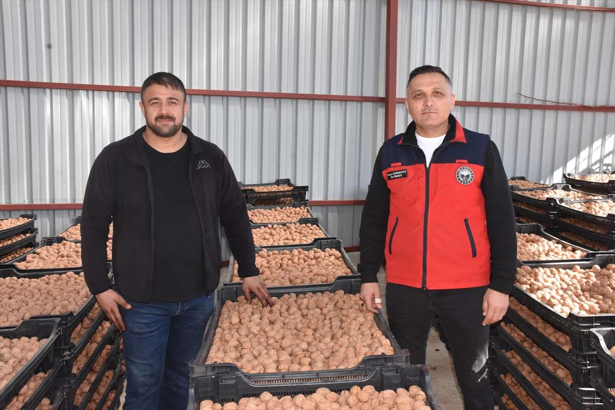 100 bin ağaçtan servet değerinde üretim! Konya ve Antep de sıraya giriyor 11